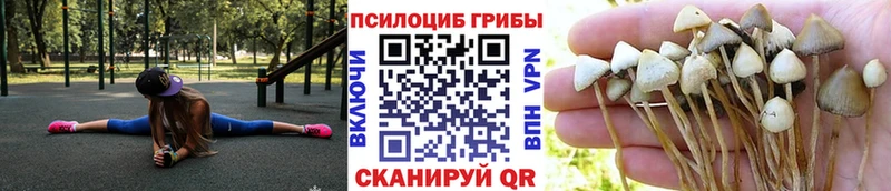 это состав  Цивильск  Псилоцибиновые грибы GOLDEN TEACHER 